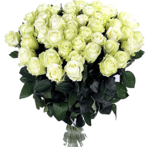 Baltas rozes