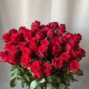 Sarkanas rozes