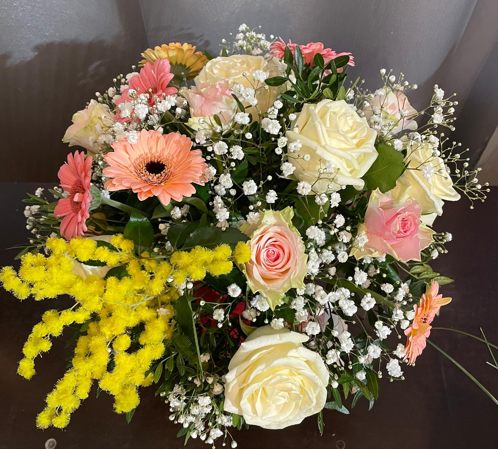 WhatsApp Image 2026-03-01 at 15.27.27